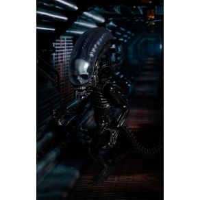 240016_0